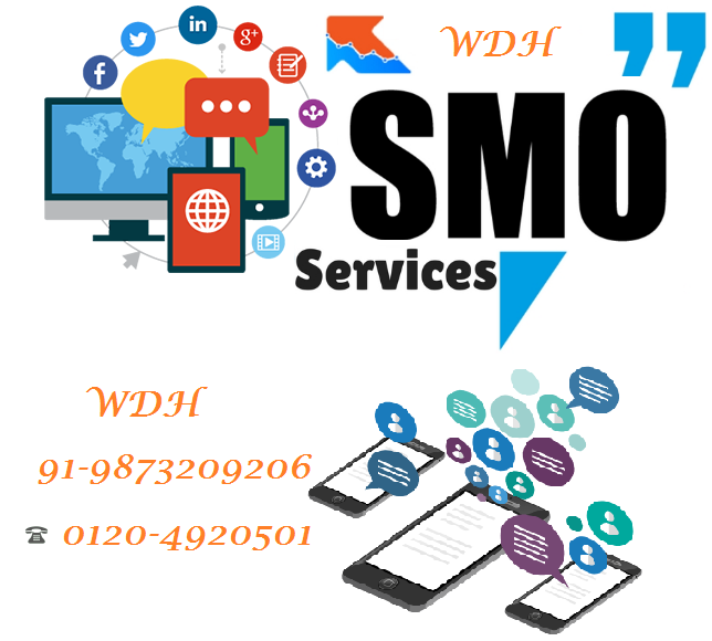Best SMO Services Company Delhi India