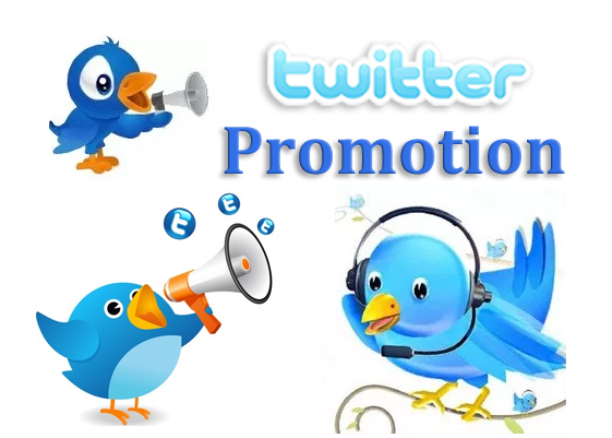 Twitter Promotion services